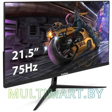 Монитор ExeGate ProSmart EV2207 (EX294426RUS) картинка 2